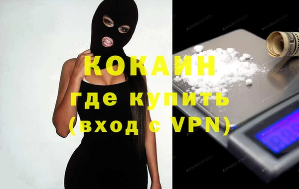стаф Дмитриев