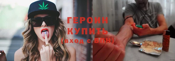 стаф Дмитриев