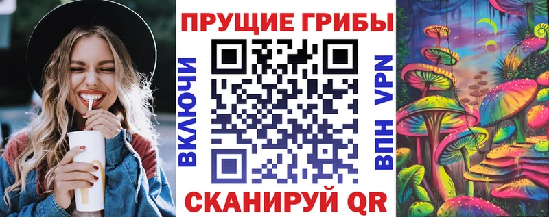 Псилоцибиновые грибы Cubensis  дарк нет официальный сайт  Салехард 